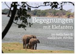 begegnungen - elefanten im südlichen afrika (Tischkalender 2024 DIN A5 quer), CALVENDO Monatskalender