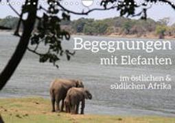 begegnungen - elefanten im südlichen afrika (Wandkalender 2024 DIN A4 quer), CALVENDO Monatskalender