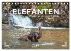 Elefanten - Baden, Planschen, Rüsseln (Tischkalender 2024 DIN A5 quer), CALVENDO Monatskalender