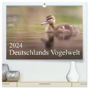 Deutschlands Vogelwelt (hochwertiger Premium Wandkalender 2024 DIN A2 quer), Kunstdruck in Hochglanz