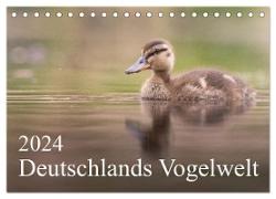 Deutschlands Vogelwelt (Tischkalender 2024 DIN A5 quer), CALVENDO Monatskalender