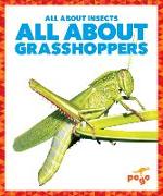 All about Grasshoppers