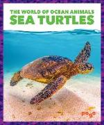 Sea Turtles