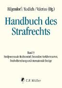 Handbuch des Strafrechts Band 09
