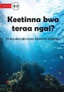 Guess Who I Am? - Keetinna bwa teraa ngai? (Te Kiribati)