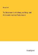Th. Bodemann's Anleitung zur Berg- und Hüttenmännischen Probierkunst