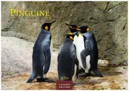 Pinguine 2024 L 35x50cm