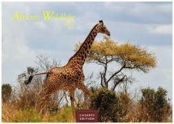 African Wildlife 2024 L 35x50cm