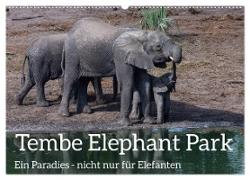 Tembe Elephant Park. Ein Paradies - nicht nur für Elefanten (Wandkalender 2024 DIN A2 quer), CALVENDO Monatskalender