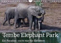 Tembe Elephant Park. Ein Paradies - nicht nur für Elefanten (Wandkalender 2024 DIN A4 quer), CALVENDO Monatskalender