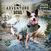 Adventure Dogs 2024 Calendar