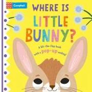 Where Is Little Bunny?: The Lift-The-Flap Book with a Pop-Up Ending!