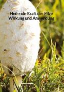 Heilende Kraft der Pilze Wirkung und Anwendung