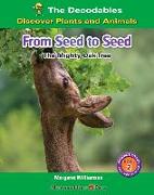 From Seed to Seed: The Mighty Oak Tree