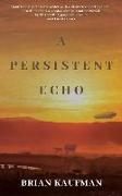 A Persistent Echo