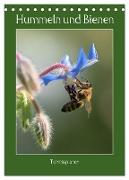 Hummeln und Bienen Terminplaner (Tischkalender 2024 DIN A5 hoch), CALVENDO Monatskalender