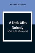 A Little Miss Nobody, Or, With the Girls of Pinewood Hall