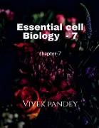 Essential cell biology-7