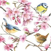 Postkarte. Vögel mit Kirschblüten