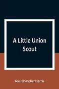 A Little Union Scout