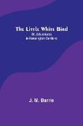 The Little White Bird, Or, Adventures in Kensington Gardens