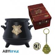 HARRY POTTER - Pack premium 3D mug+3D Keychain+Pin Hogwarts' suitcase