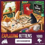 Exploding Kittens Puzzle: Cats in Quarantine