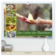 Das Leben der Haselnuss (hochwertiger Premium Wandkalender 2024 DIN A2 quer), Kunstdruck in Hochglanz