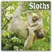 Sloths Calendar 2024 Square Animal Wall Calendar - 16 Month