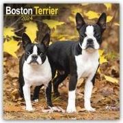 Boston Terrier 2024 - 16-Monatskalender