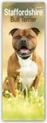 Staffordshire Bull Terrier Slim Calendar 2024 Dog Breed Slimline Calendar - 12 Month