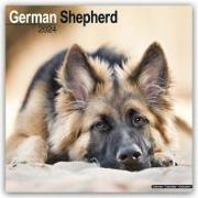 German Shepherd - Deutsche Schäferhunde 2024 - 16-Monatskalender