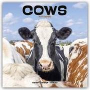 Cows - Kühe 2024 - 16-Monatskalender
