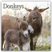 Donkeys Calendar 2024 Square Animal Wall Calendar - 16 Month