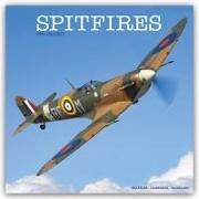 Spitfires - Spitfire - Britisches Jagdflugzeug 2024