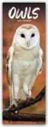 Owls Slim Calendar 2024 Bird Slimline Calendar - 12 Month