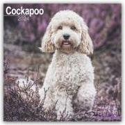 Cockapoo - Cockapoos 2024 - 16-Monatskalender