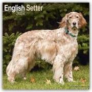 English Setter Calendar 2024 Square Dog Breed Wall Calendar - 16 Month