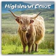 Highland Cows - Hochland Rinder 2024 - 16-Monatskalender