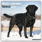 Black Labrador Retriever Calendar 2024 Square Dog Breed Wall Calendar - 16 Month