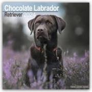 Chocolate Labrador Retriever Calendar 2024 Square Dog Breed Wall Calendar - 16 Month