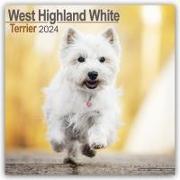 West Highland Terrier Calendar 2024 Square Dog Breed Wall Calendar - 16 Month