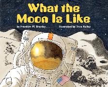 What the Moon Is Like