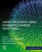 Water Treatment Using Engineered Carbon Nanotubes