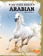 Arabian