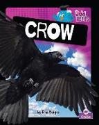 Crow