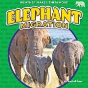 Elephant Migration