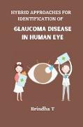Hybrid Approaches for Identification of Glaucoma Disease in Human Eye