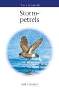 The Storm-petrels