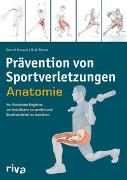 Prävention von Sportverletzungen – Anatomie